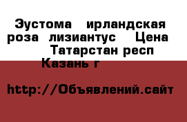 Эустома ( ирландская роза, лизиантус) › Цена ­ 200 - Татарстан респ., Казань г.  »    